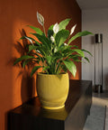 A peace lily in a yellow planter pot sits on a dark wood cabinet against an orange wall. The pot features a wavy, ribbed design.