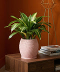 A pink planter pot with a green plant sits on a wooden table next to books and a gold lamp.