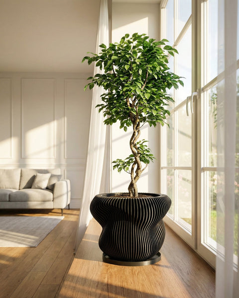A Monstera plant with variegated leaves in a black, vertically ribbed planter pot on a gray pedestal.