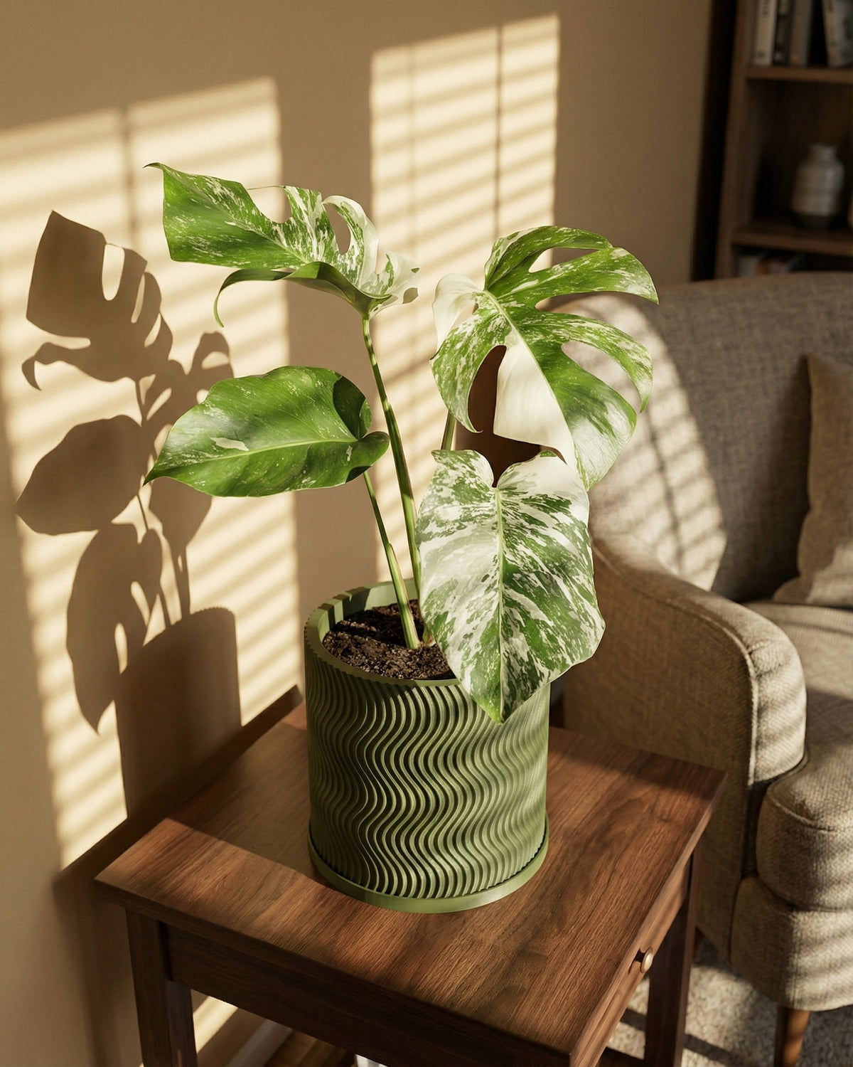 A Monstera plant in a green, wavy-textured planter pot sits on a wooden side table, casting a shadow on the wall.