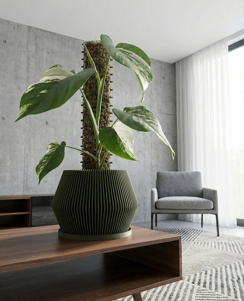 A large rubber plant sits in a green planter pot with vertical ridges, positioned near a window in a modern living space. Sunlight streams across the wooden floor, highlighting the plant's glossy leaves and the pot's unique design. In the background, a gray sofa and marble side table add to the contemporary aesthetic.