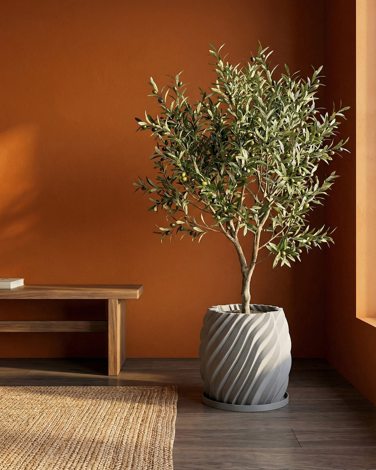A gray planter pot with a swirling design holds a small olive tree in a room with an orange wall and wood floor.