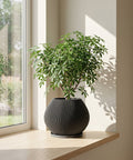 A large, modern planter pot filled with a lush, green plant. The pot is gray with vertical lines and sits on a concrete pedestal. The background includes a window with curtains and a concrete wall with artwork.
