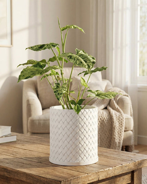A planter pot with a woven pattern sits on a wooden table, holding a green plant with speckled leaves.