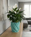A light blue planter with a plant sits on a wooden windowsill in front of a window.
