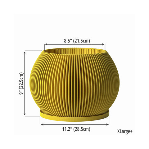 Lemon Yellow Melon