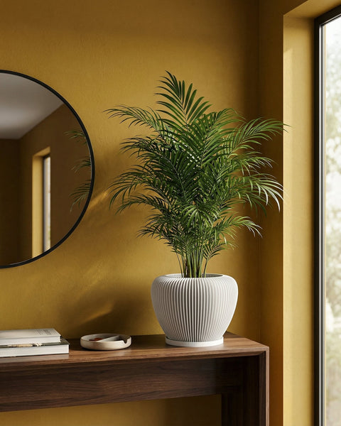 A vibrant green palm plant sits in a stylish, white ribbed planter pot on a dark wood table against a mustard-colored wall.