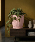 A pink planter pot with a plant inside sits on a dark wood cabinet with books and vases.
