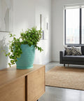 A light blue planter pot with a green plant on a wooden cabinet in a modern living room.