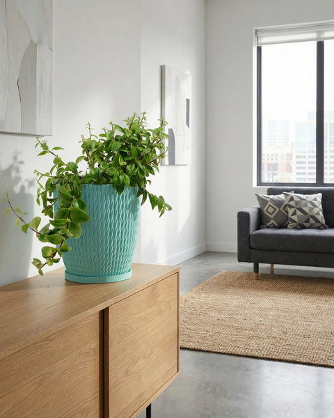 A light blue planter pot with a green plant on a wooden cabinet in a modern living room.