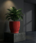 A vibrant red planter pot with a lush green plant sits atop a dark gray pedestal against a muted background.