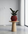 A tall, vibrant green Monstera plant is potted in a striking, vertically ribbed red planter. The planter sits atop a modern, light-wood table with a unique, open base design. The setting is a bright, minimalist living space with a gray sofa, abstract art, and sheer white curtains.