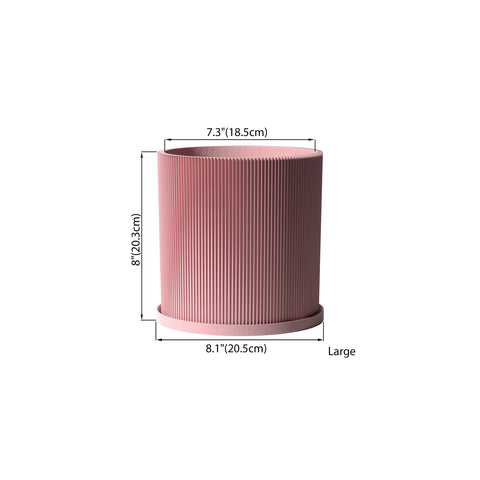 Candy Pink Ray