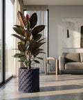 A spider plant in a navy blue woven planter pot sits on a wooden side table next to a gray sofa in a living room.