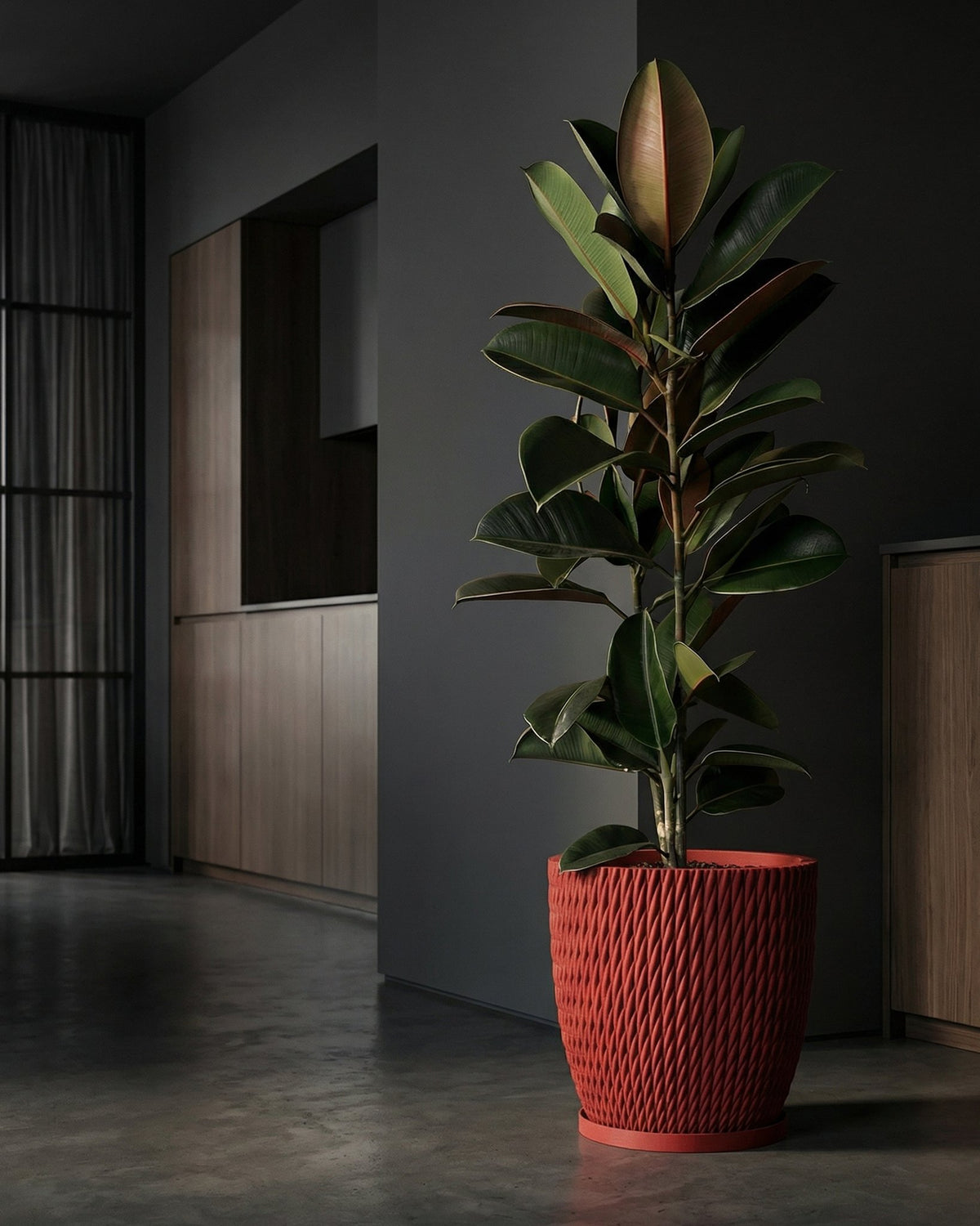 A red, textured planter pot with a rubber plant inside, set against a modern, minimalist interior.
