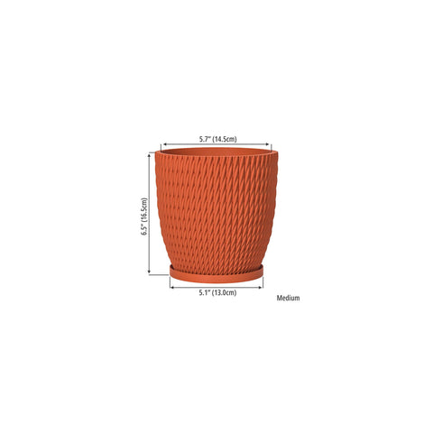 Terracotta Orange Vine