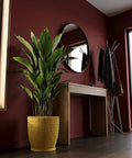 A large green plant sits in a textured yellow planter pot, next to a wooden table and a coat rack with scarves and a bag.