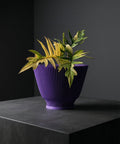A purple planter pot with a plant in it is displayed on a dark gray surface, against a dark gray background. The pot has a ribbed texture and a wide, conical shape. The plant has green and yellow leaves.