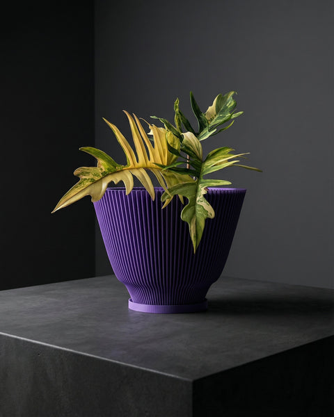 A purple planter pot with a plant in it is displayed on a dark gray surface, against a dark gray background. The pot has a ribbed texture and a wide, conical shape. The plant has green and yellow leaves.