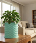 A vibrant green plant sits in a woven, light blue planter pot on a wooden table in a cozy living room setting.