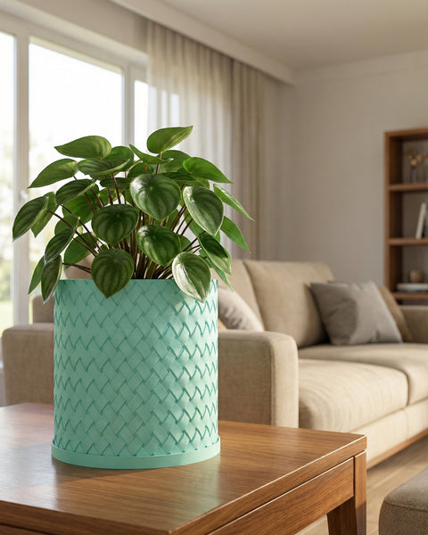 A vibrant green plant sits in a woven, light blue planter pot on a wooden table in a cozy living room setting.