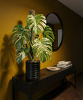 A Monstera plant in a black planter pot sits on a dark wood table against a yellow wall with a round mirror.