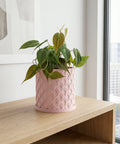 A pink planter pot with a string of pearls plant sits on a dark wood table next to a gray couch in a room with burgundy walls.