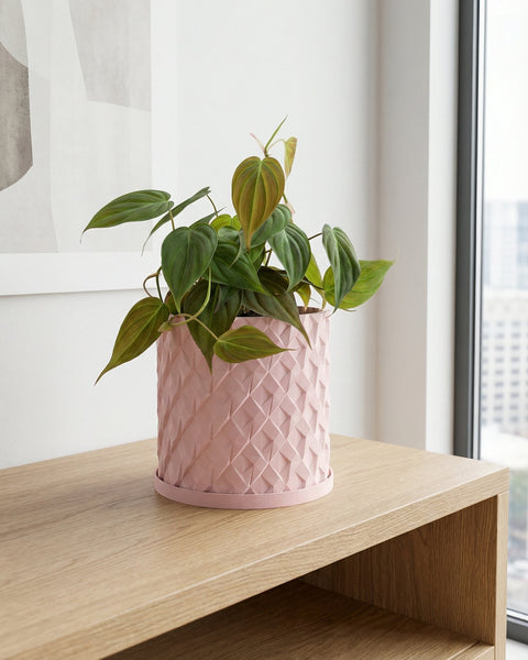 A pink planter pot with a string of pearls plant sits on a dark wood table next to a gray couch in a room with burgundy walls.