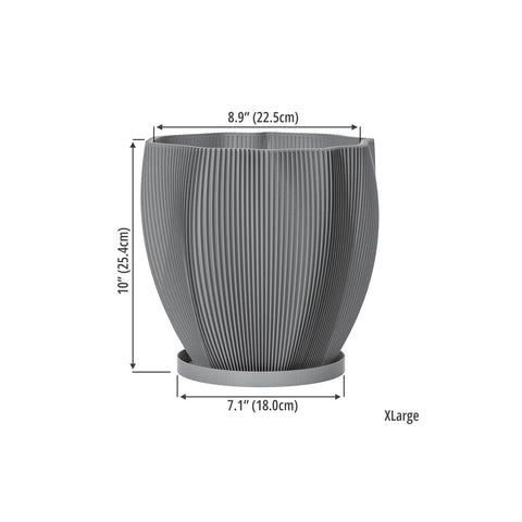 Concrete Grey Coconut