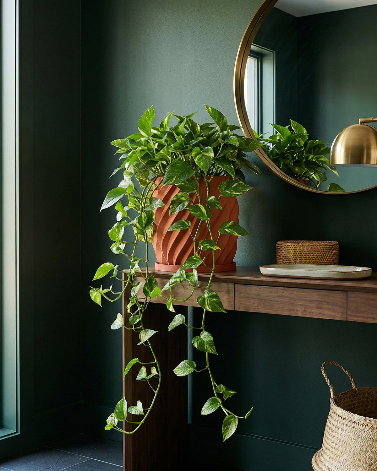 A vibrant pothos plant cascades from a terracotta planter on a wooden console table, reflecting in a round mirror.