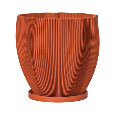 Terracotta Orange Coconut