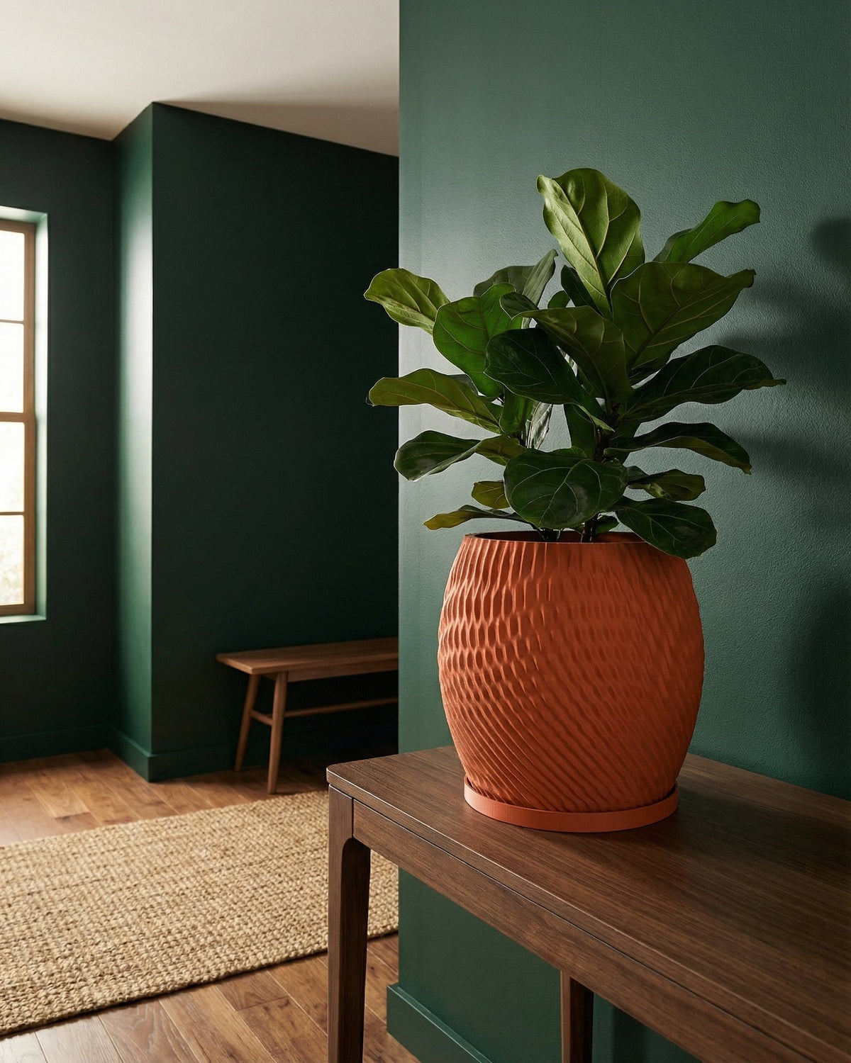 A fiddle leaf fig plant in a textured orange planter pot sits on a wooden table against a green wall.