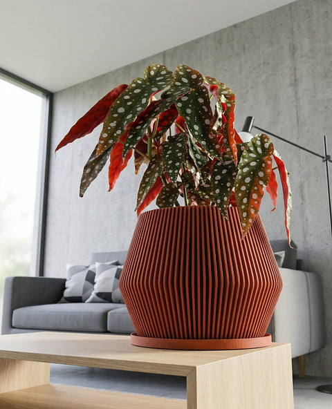A Swiss cheese plant in a terracotta planter pot sits on a light wood shelf next to a window. A framed geometric print hangs on the wall behind the plant. A concrete polyhedron and books are also on the shelf.