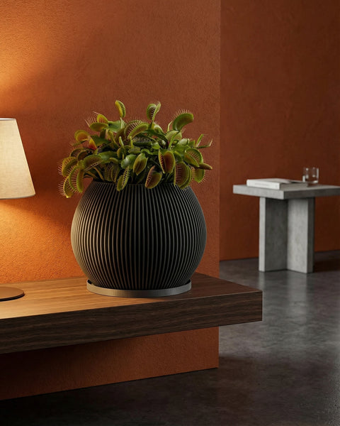 A black planter pot with a Venus flytrap plant sits on a wooden shelf in front of an orange wall.