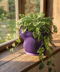 A purple planter pot with a green plant sits on a white windowsill next to a window.