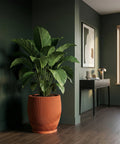 A large green plant sits in a terracotta planter with a wavy, ribbed design, adding a touch of modern elegance to the room.