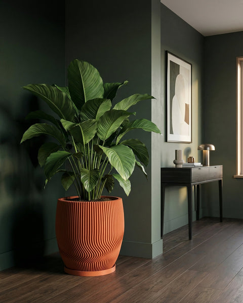 A large green plant sits in a terracotta planter with a wavy, ribbed design, adding a touch of modern elegance to the room.