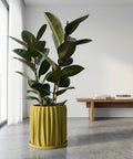 A yellow planter pot with a green and pink plant sits on a dark wood table in a room with olive green walls.
