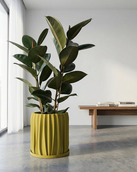 A yellow planter pot with a green and pink plant sits on a dark wood table in a room with olive green walls.