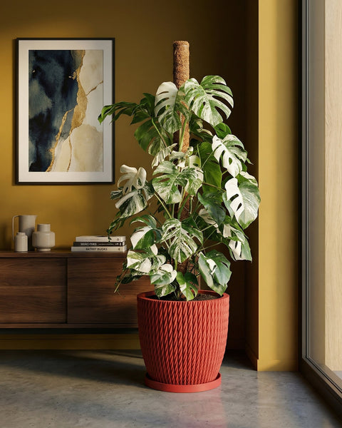 A Monstera plant in a red planter pot with a moss pole, set against a mustard-colored wall. The pot has a woven texture.