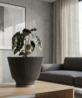 A planter pot with a plant on a wooden table, with a gray couch and curtains in the background. The planter pot is black with vertical lines.