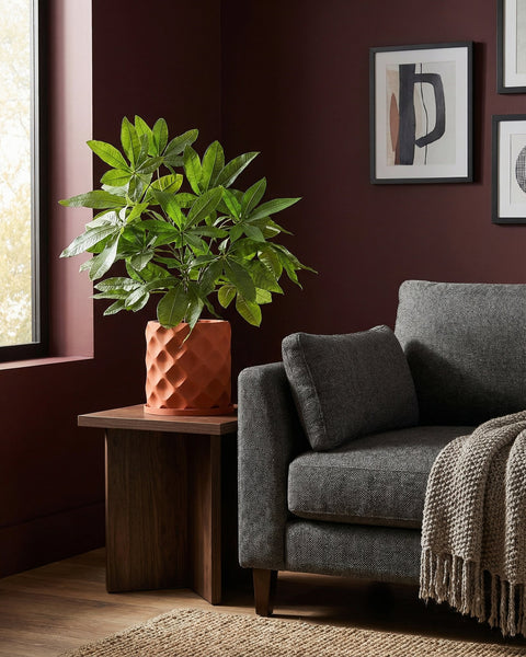 A terracotta planter with a green plant sits on a wooden table next to a gray couch with a throw blanket.