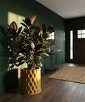 A rubber plant in a yellow planter pot sits on a dark wood floor in a room with dark green walls. The pot has a textured, geometric design.