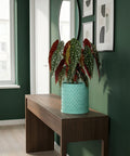 A turquoise planter pot with a woven texture sits on a wooden table, holding a plant with spotted leaves.