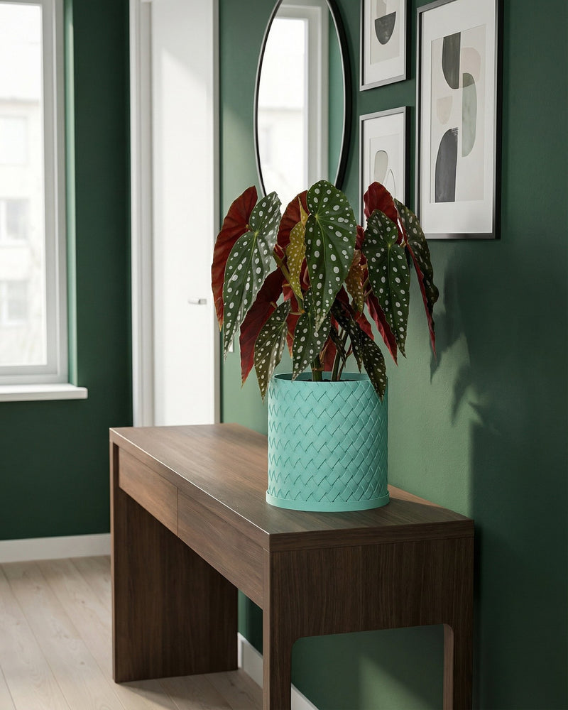 A turquoise planter pot with a woven texture sits on a wooden table, holding a plant with spotted leaves.