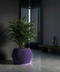 A vibrant purple planter pot with a lush green plant inside, set against a modern, minimalist backdrop.