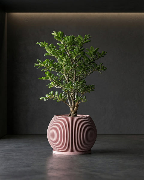A small green tree in a pink, vertically striped planter pot sits on a dark gray surface against a dark gray wall.