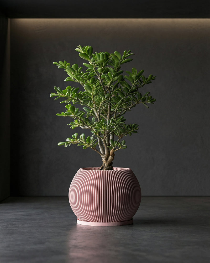 A small green tree in a pink, vertically striped planter pot sits on a dark gray surface against a dark gray wall.