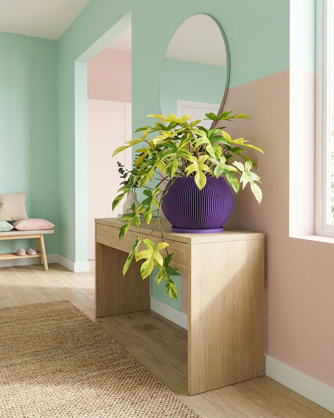 A purple planter pot with a plant inside sits on a dark gray table in a room with dark gray walls and a dark gray floor. The planter pot is ribbed and has a flared shape. The plant has green leaves with white spots and red undersides.
