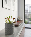 A large green plant sits in a gray textured planter pot on a dark wood floor. The pot has a woven design.